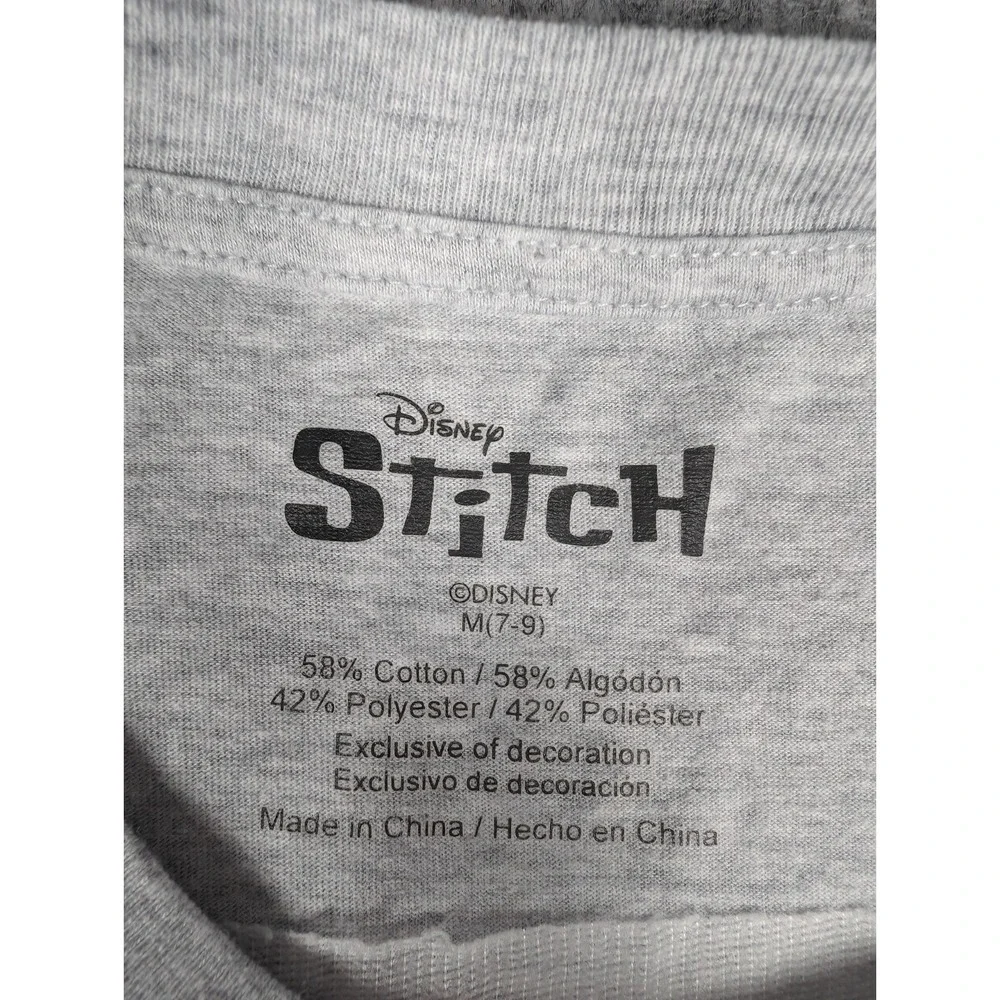 Lilo & Stitch | Disney | Gray | Kids | Ohana‎ Means Family Graphic T-Shirt | M